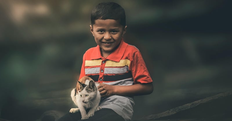 Voyager serein avec son animal : le guide complet pour un voyage sans stress